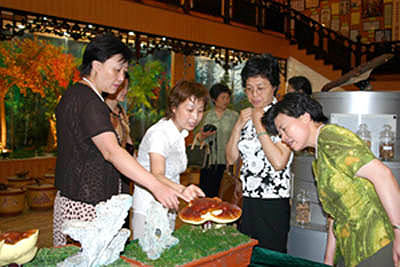 利来国际最老品牌 利来国际最老品牌